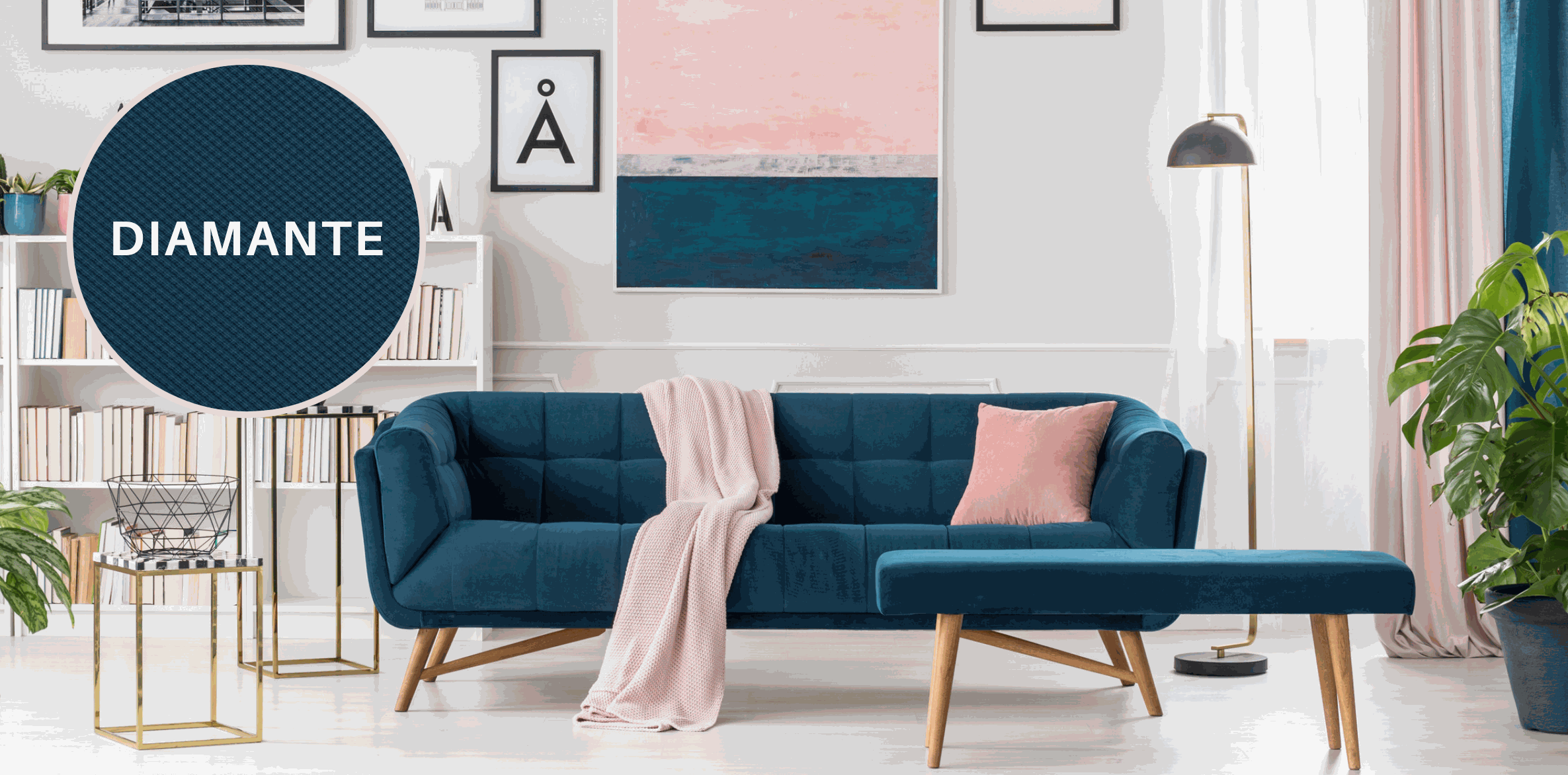 Odoo • Imagen y texto